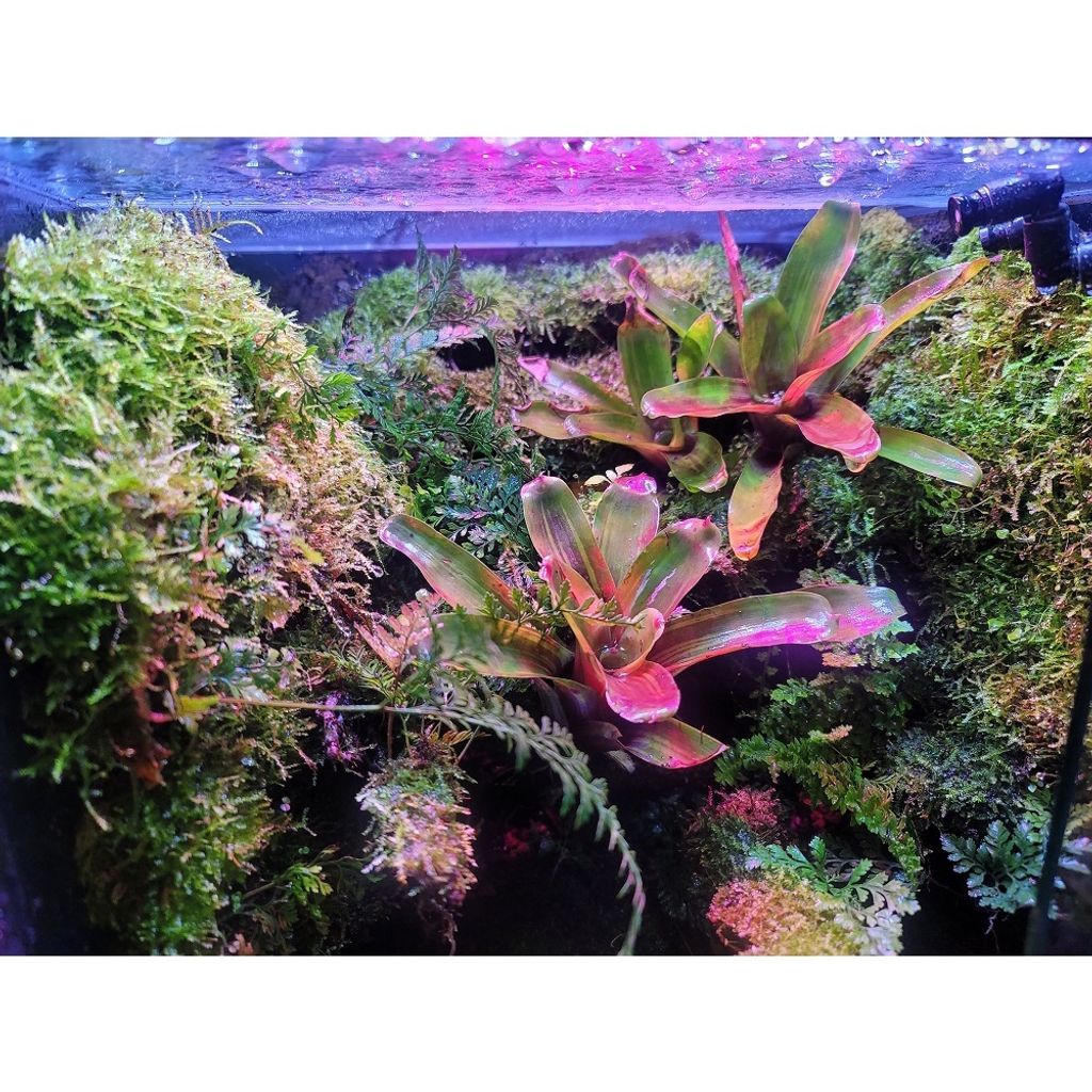 b9b867d4d4c66bdfc9873acbd6126a54