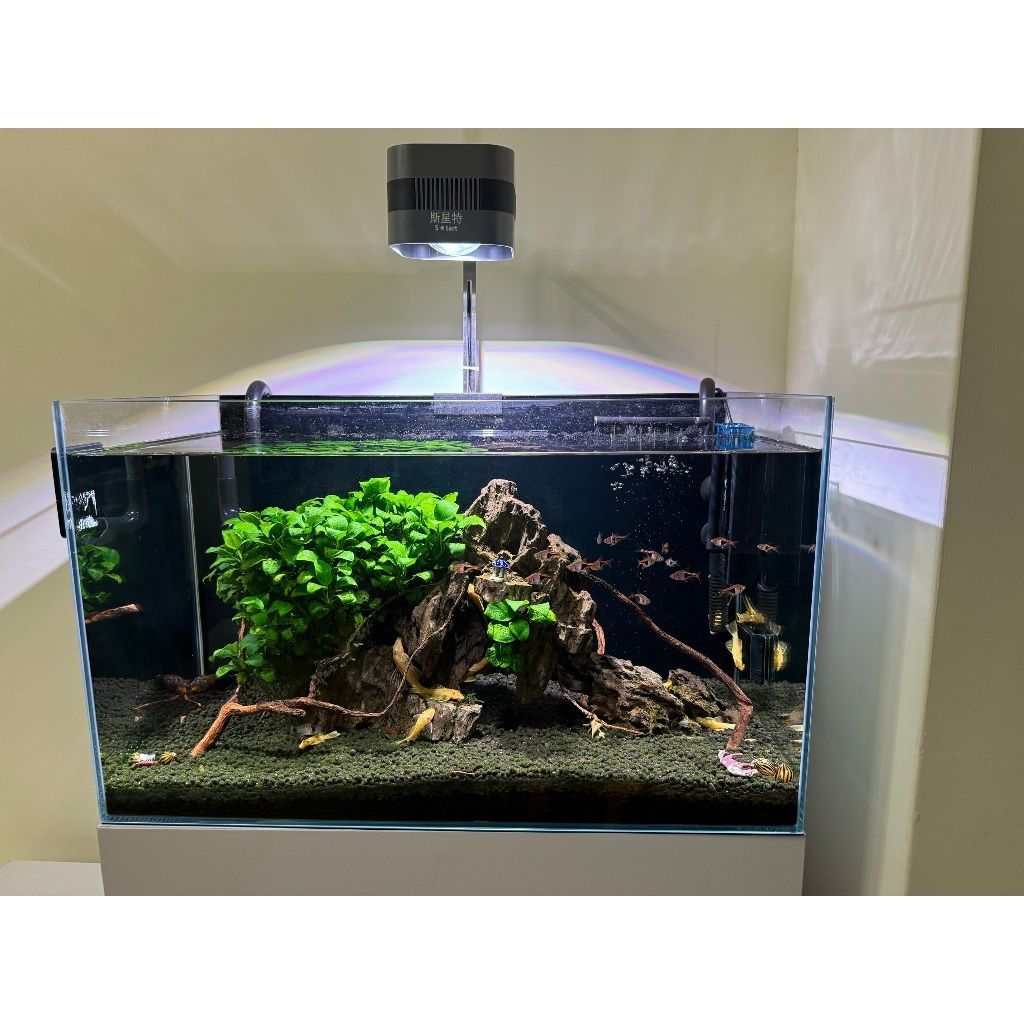 tw-11134207-7rbke-m6uvsa7ufhia2a