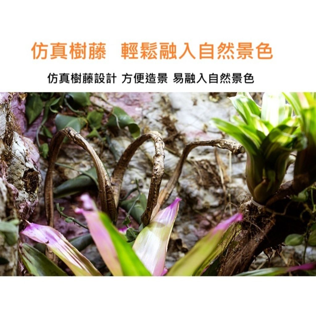 tw-11134207-7rbk8-m70xiknmc8xr9e