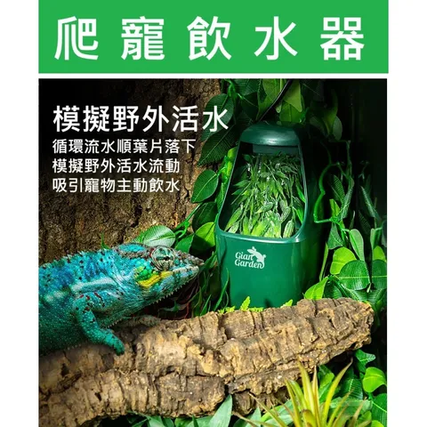 tw-11134207-7rbk8-m70zxt5so21u84