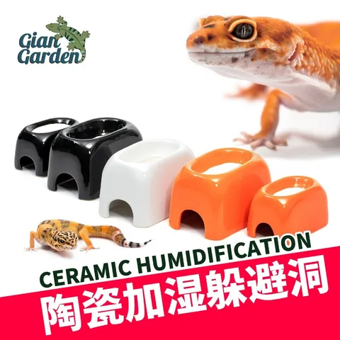 tw-11134207-7rbke-m76rgatoypiy46