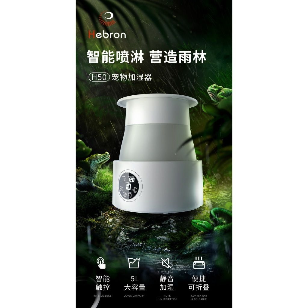 tw-11134207-7rbk7-m8244zdcnubd21