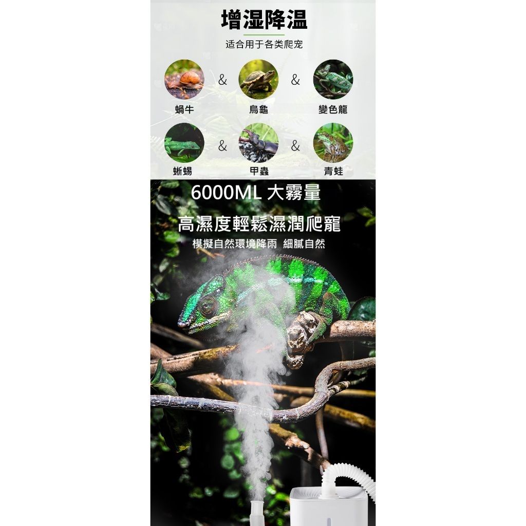 tw-11134207-7rbk7-maikogrvqzti82