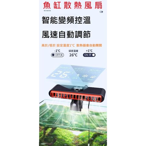 tw-11134207-7rbkb-mayal3go8r4oeb