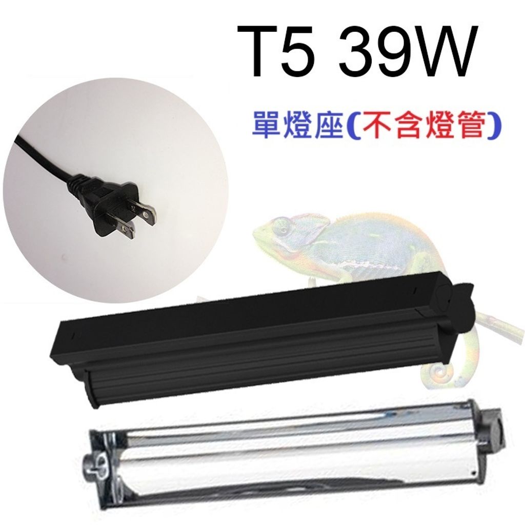 tw-11134207-7ra0h-mcrxljqyj1pm79