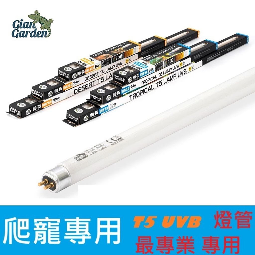 tw-11134207-7rbk0-mazb8y8k1p4m11