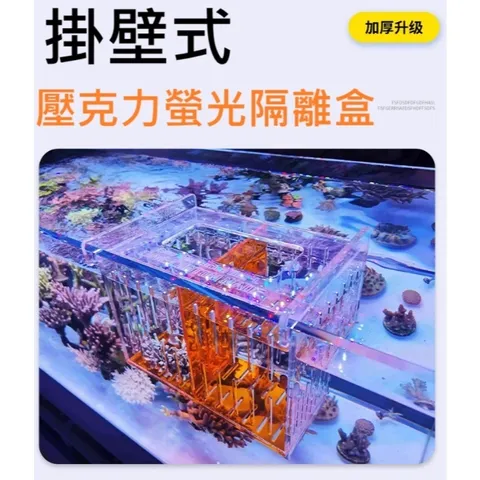 tw-11134207-7ra0h-mbdynzubjkuw88