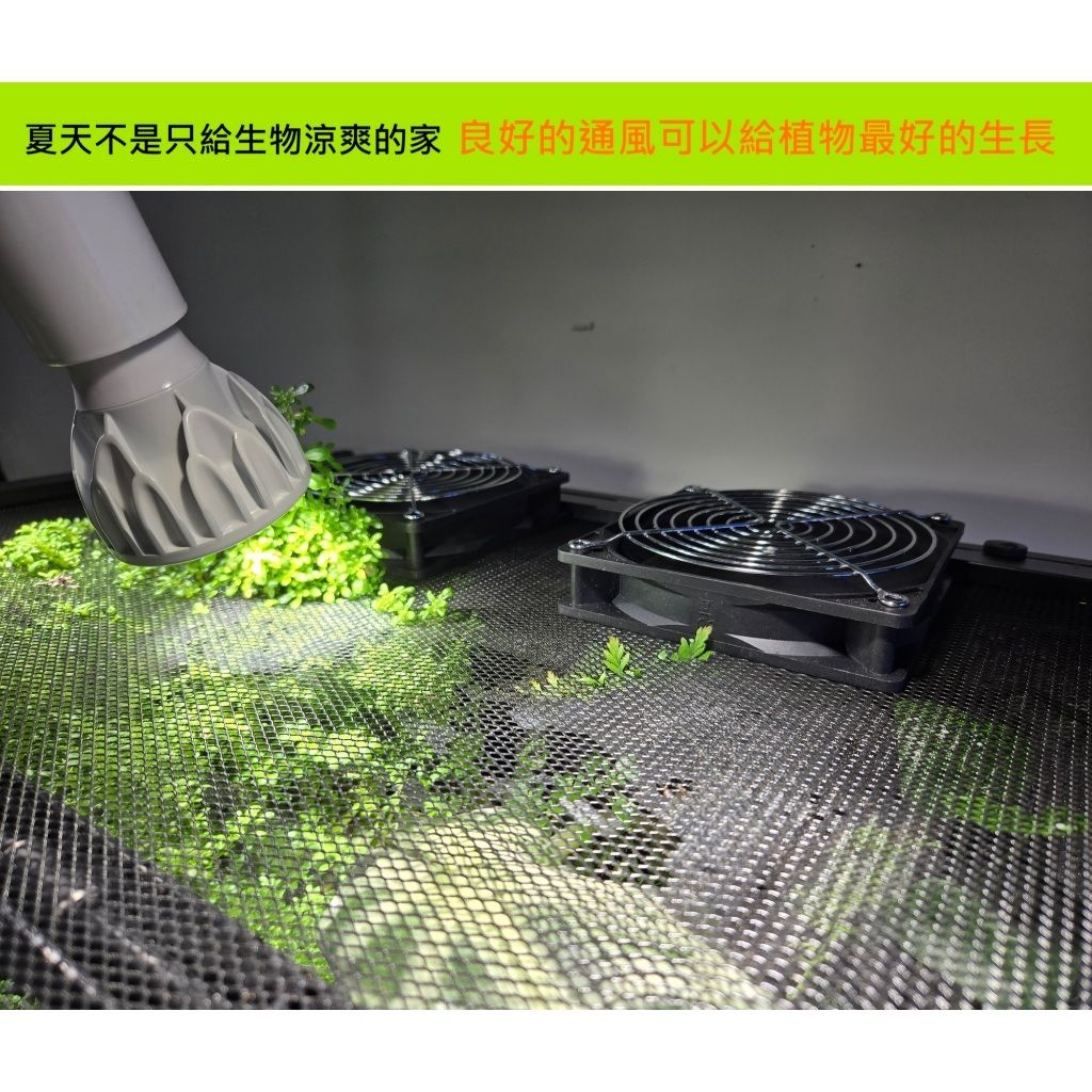 tw-11134207-7ra0q-mc4t6x7hk17u53