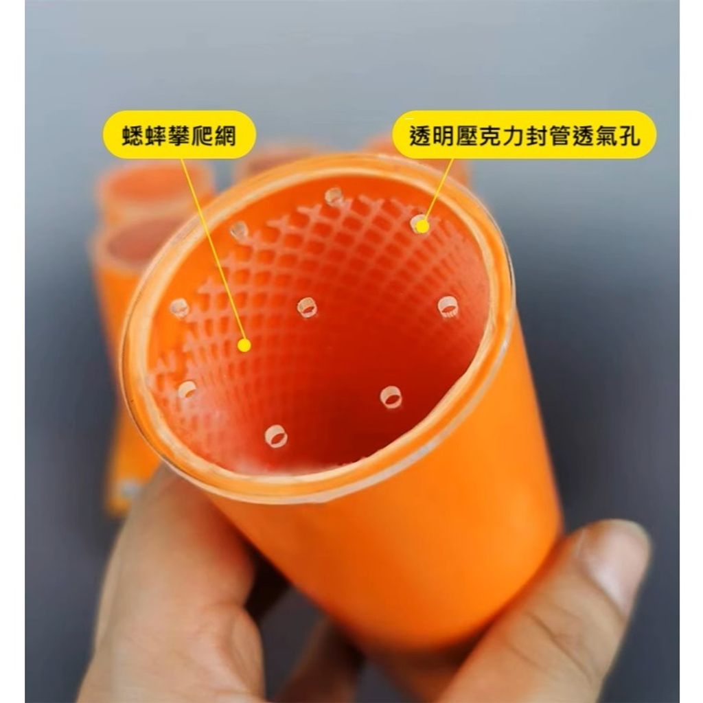 tw-11134207-7ra0h-mcarqjmofmmz65