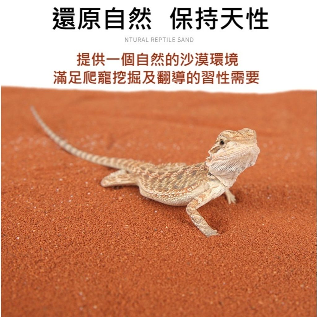 tw-11134207-7ra0k-mdepcseq1b6vef