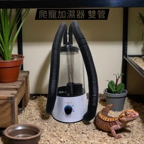 tw-11134207-81ztm-meisgg53b5l3f1