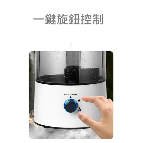 tw-11134207-81ztn-meisgg1kt8g5c0