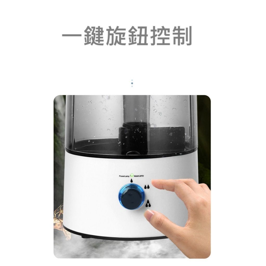 tw-11134207-81ztn-meisgg1kt8g5c0