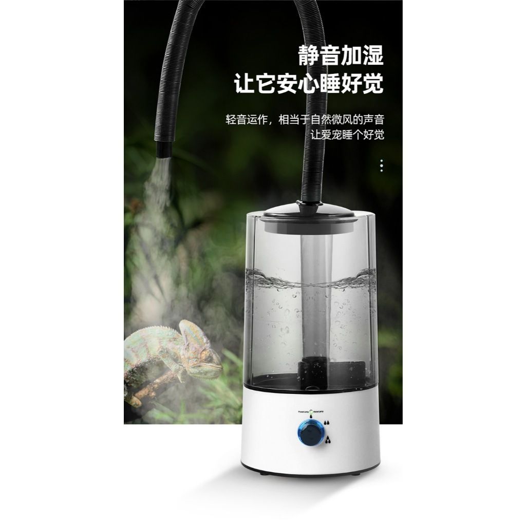 tw-11134207-81ztm-meisgg55t1xf63