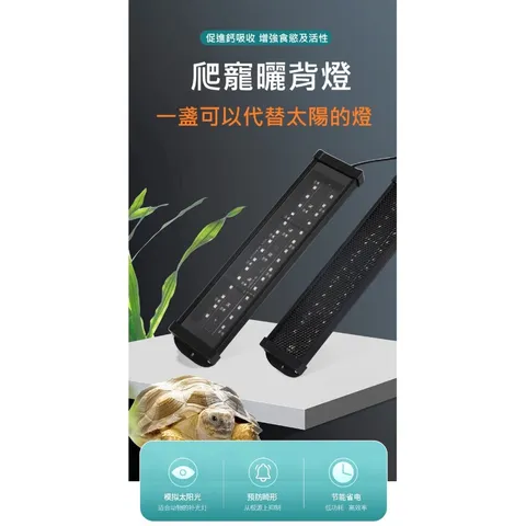 tw-11134207-81ztc-memxj0dvpxc2b0