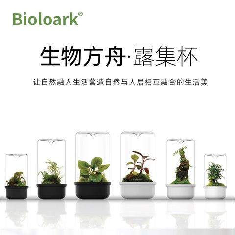 tw-11134207-7ras8-m6baqhy2g13qaf