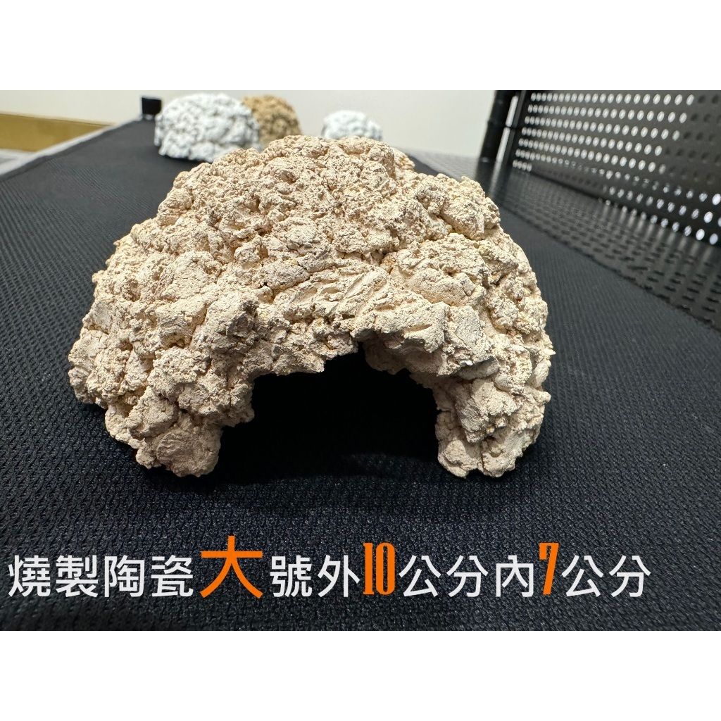 tw-11134207-7r98y-lsvcn6r8hn2gf6