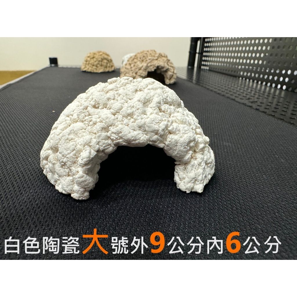 tw-11134207-7r991-lsvcn6r8g8i0ac