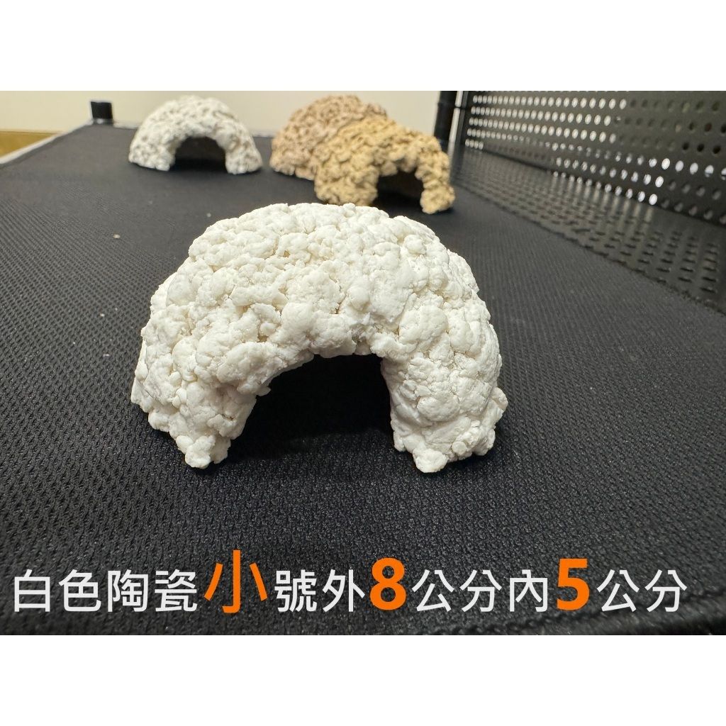 tw-11134207-7r992-lsvcn6r8etxk58