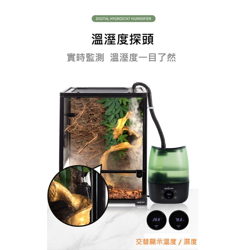 tw-11134207-7rbka-m6gzqxcpib2wbd