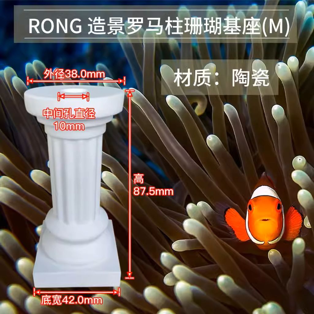 tw-11134207-7r98x-lsdkpxpqtyq0e8