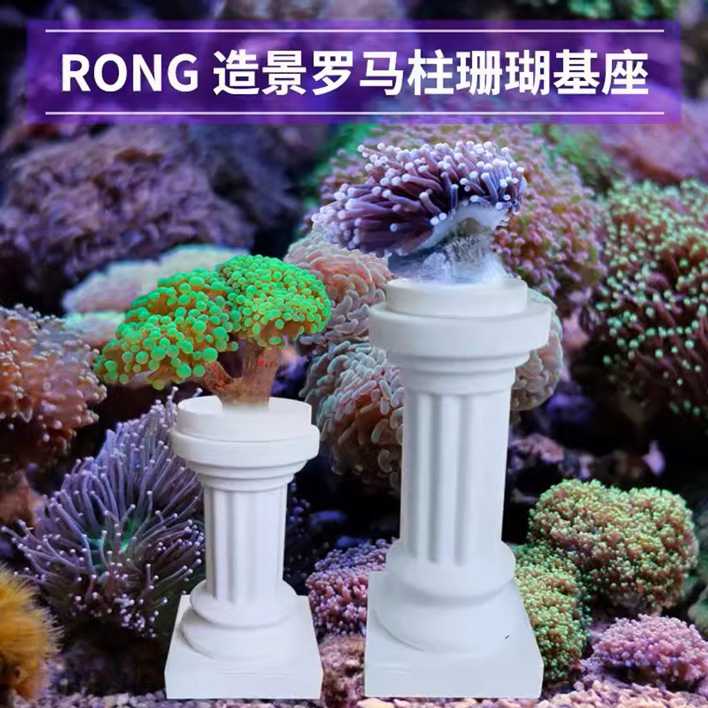 tw-11134207-7r98q-lsdkpxpqsk5k0d