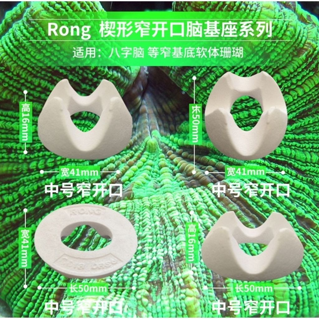 6efb22058b81de3bccd2d6ba1fc61c30