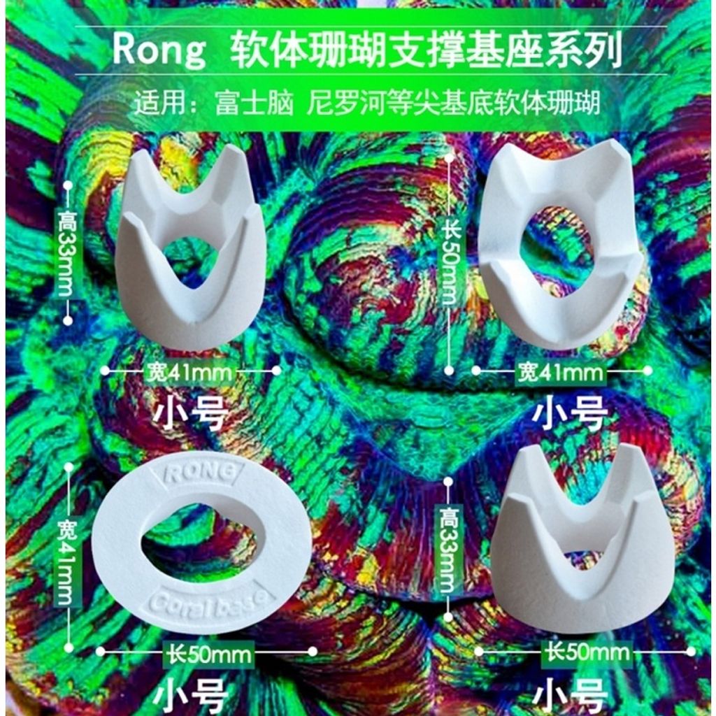 41247b201fcfeddb69da9eb94271061b