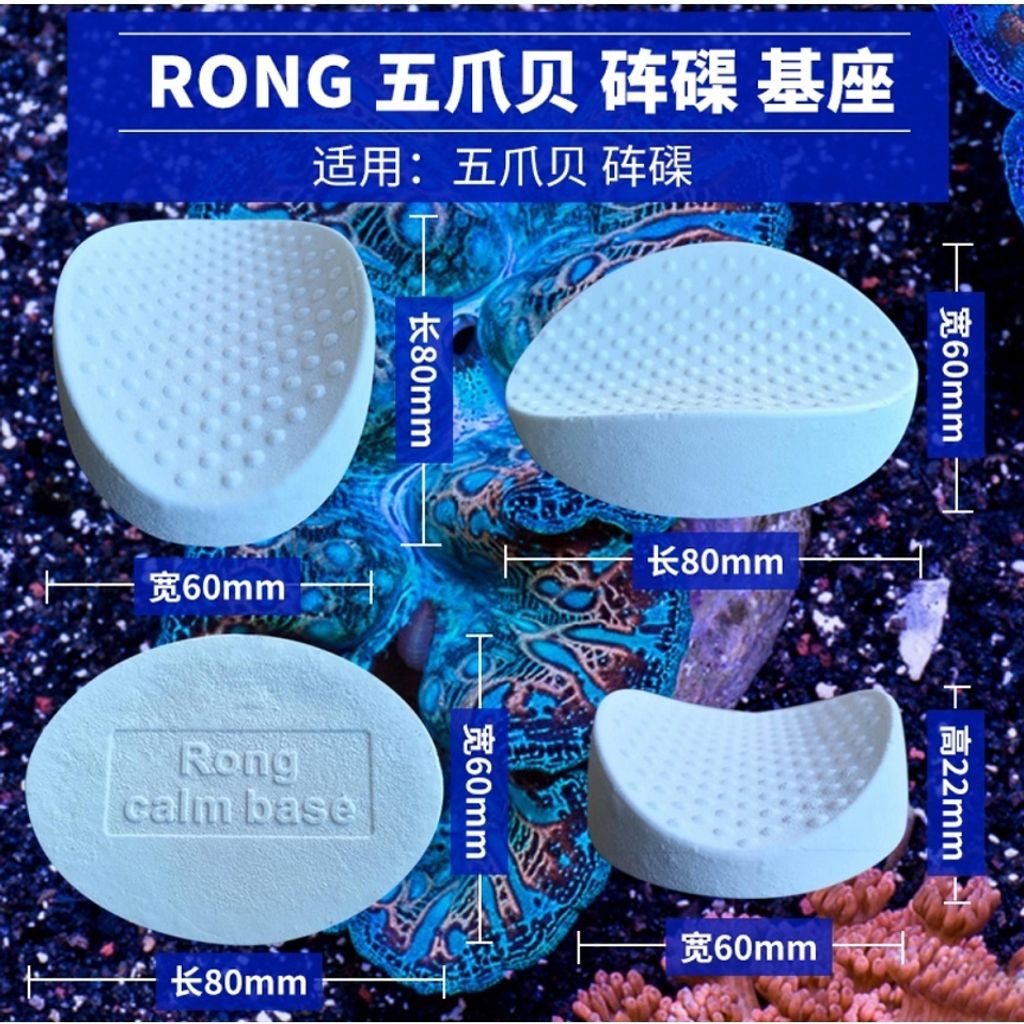 2897ee4b775b65ba0b08fd0f7aa76b19