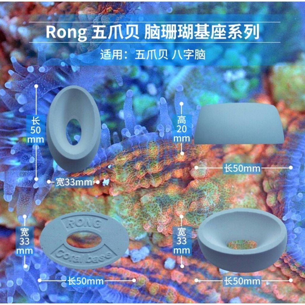 7dabe5ace39da7564980c4eeb4548038