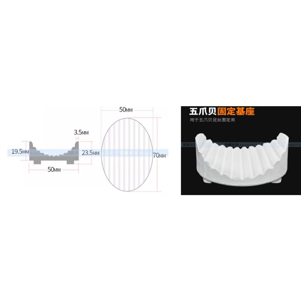 tw-11134207-81zti-mgkwtzkp2uj089