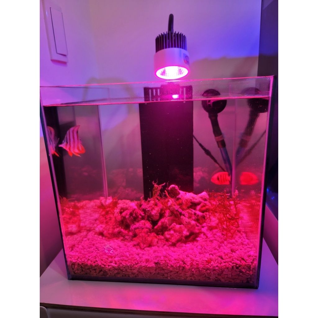 3d0c171204549cc168d2d6206fda1783