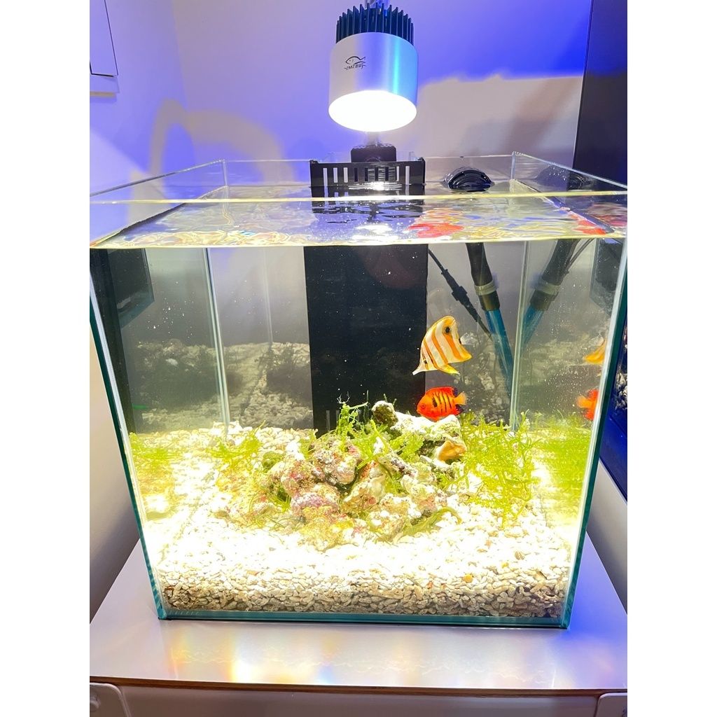 beedfa571afde787235ccd123087e71d