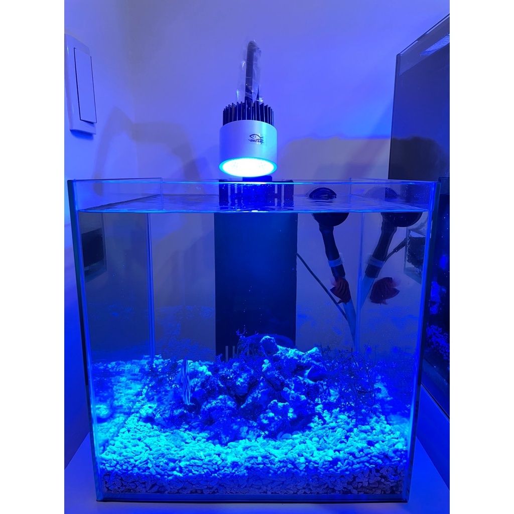 8adbfe2a194ab16fbad7ce3eaf67e5dd