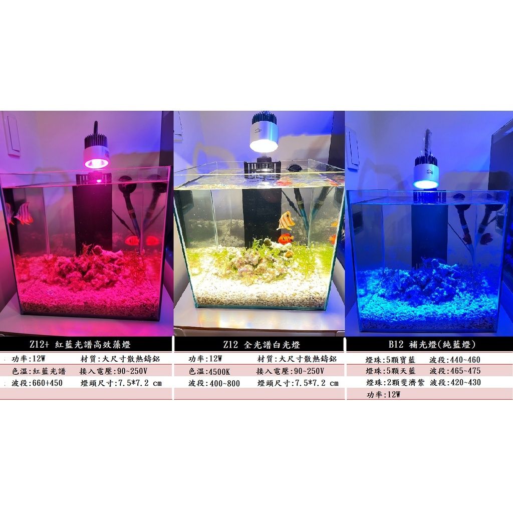 54f9bf3ec11c26a1bab78ed2fa3c54e7