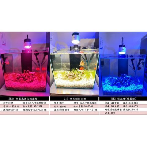 54f9bf3ec11c26a1bab78ed2fa3c54e7