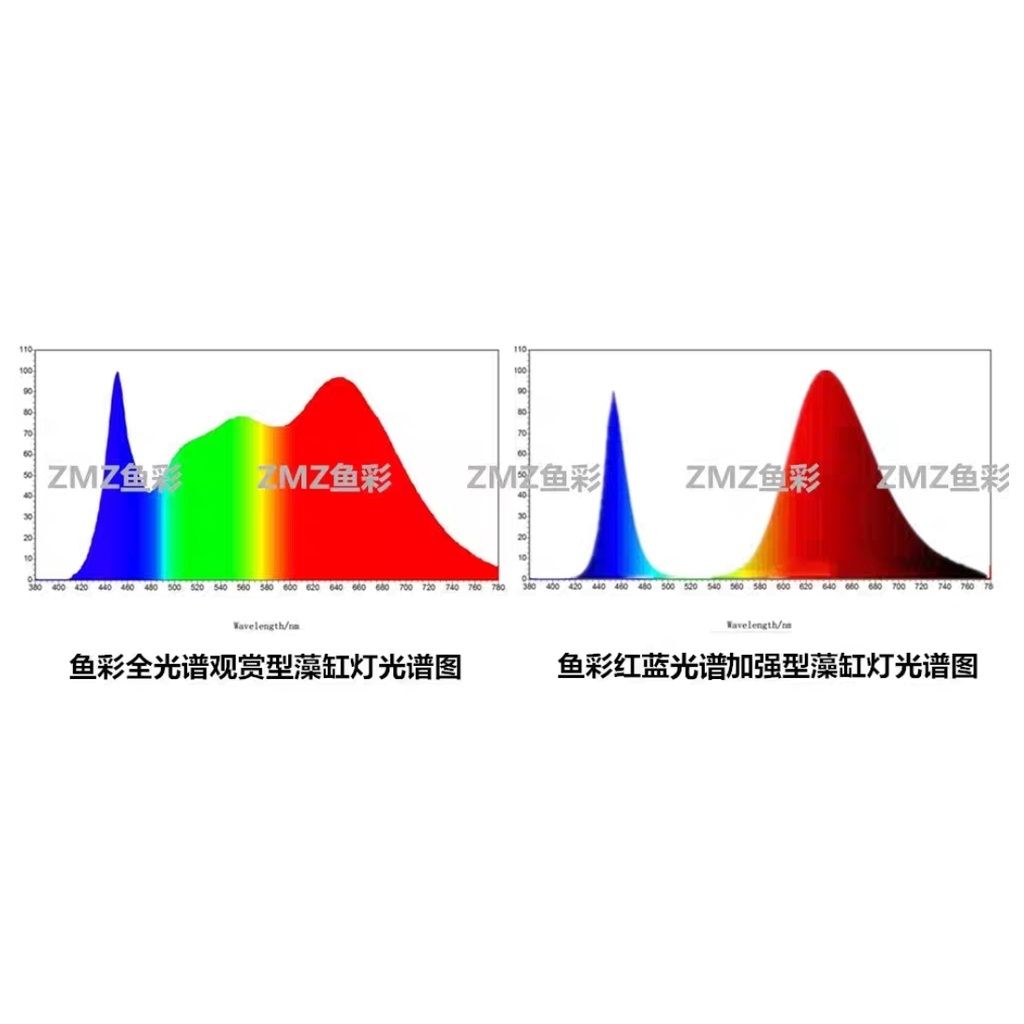 781c48830453d7ea618cf3188a637532