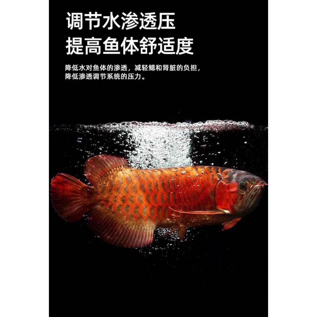 72bfc69005841dda7cb2b90f1302a152