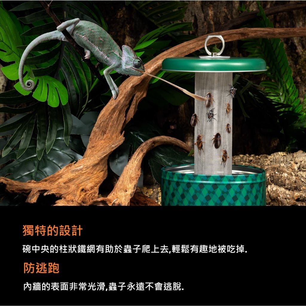 tw-11134207-7rasc-m29o94z0s81x8e