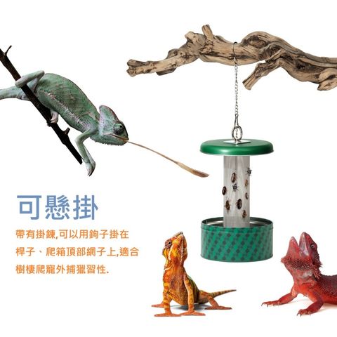 tw-11134207-7ras9-m29o94z0s7bu5e