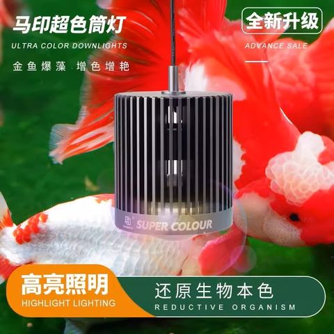 tw-11134207-7r98q-lr7epuwaz9541b