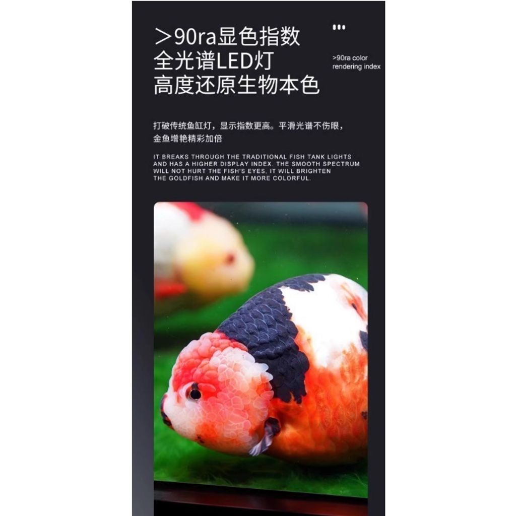 tw-11134207-7r98y-lr7epuwc9lvs2f