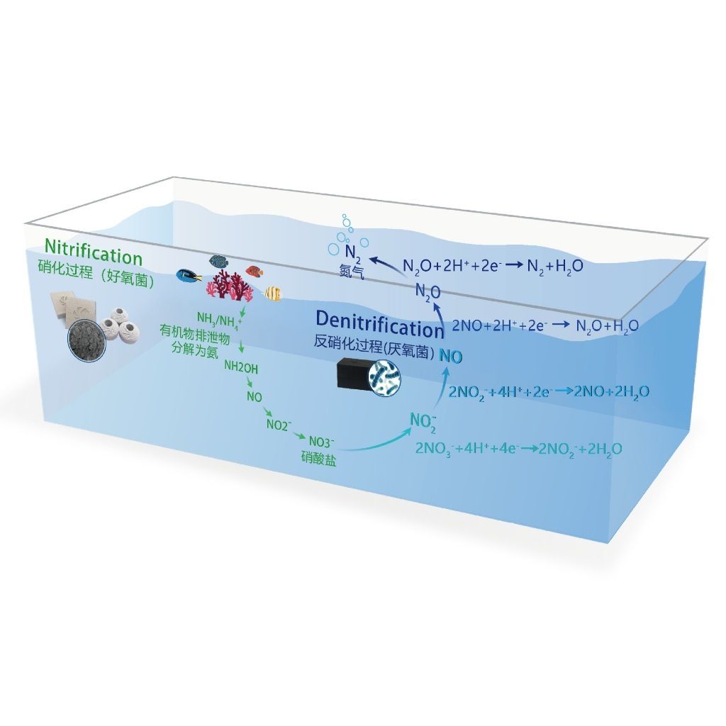 tw-11134207-7rasi-m65jzfg3lc468b