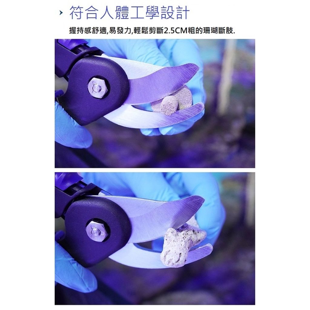 sg-11134201-22100-gdbwt8qfn2iv63