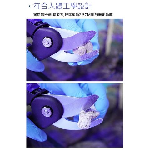 sg-11134201-22100-gdbwt8qfn2iv63