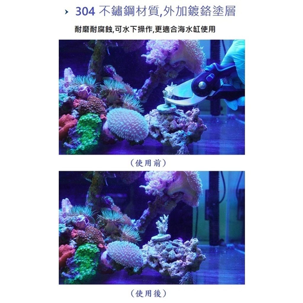 sg-11134201-22100-6runr0qfn2ivb8