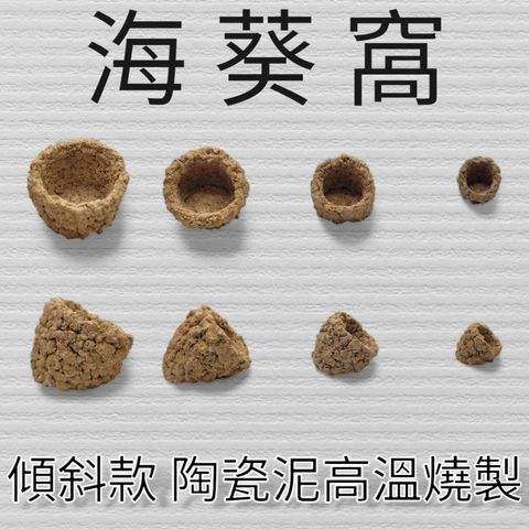 tw-11134207-7r98q-lp324t1fct4jab