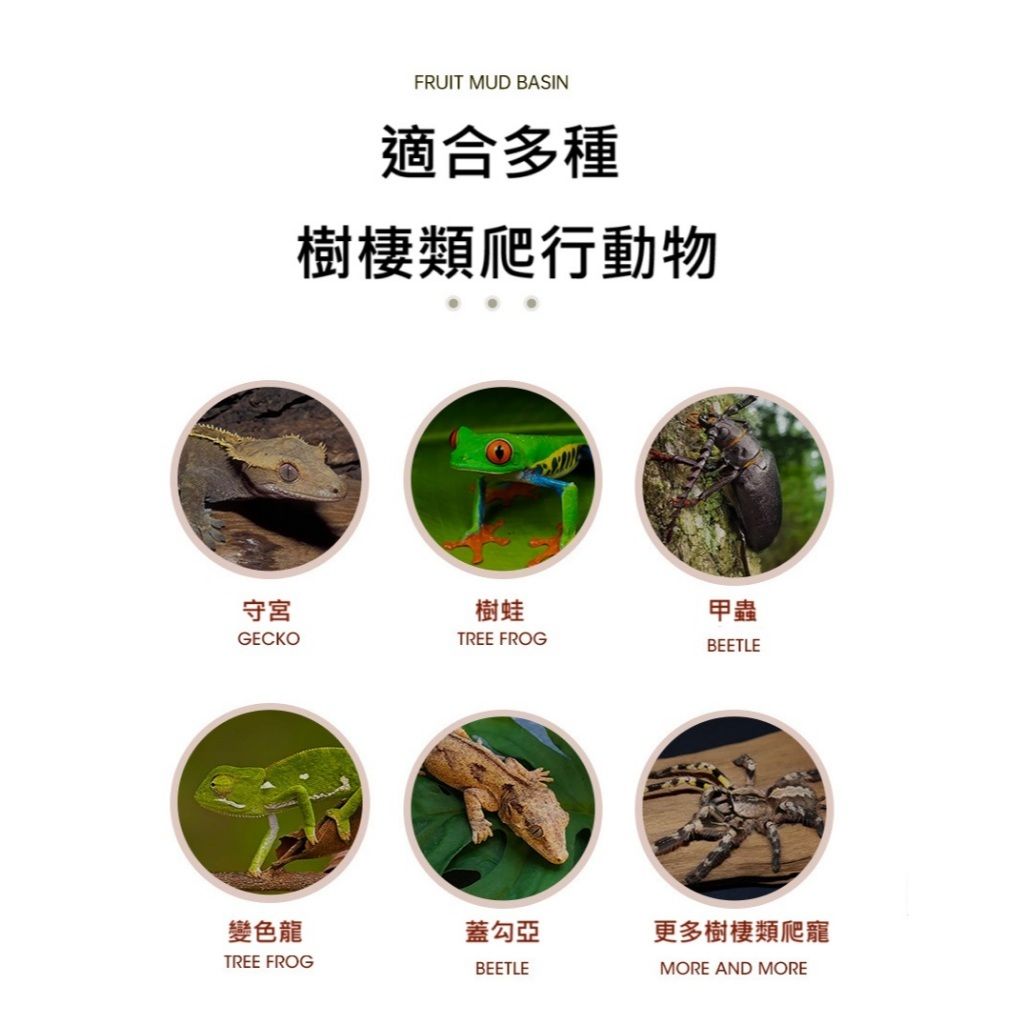 tw-11134207-7rasg-m0n9nnkrpbl3c7