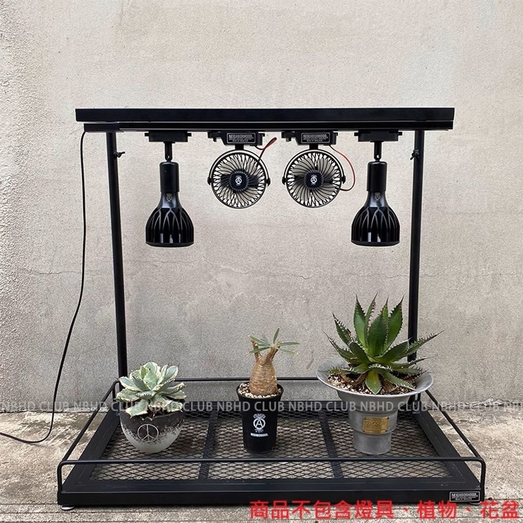 tw-11134207-7ras8-m26qt5dlnqqiaf