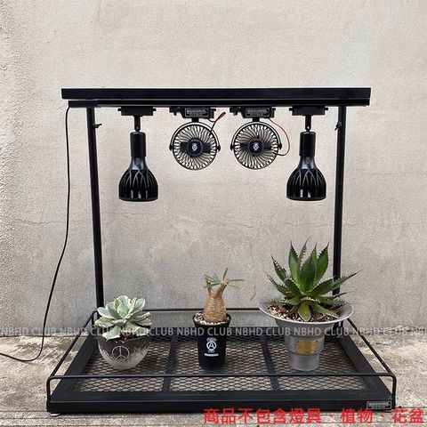 tw-11134207-7ras8-m26qt5dlnqqiaf